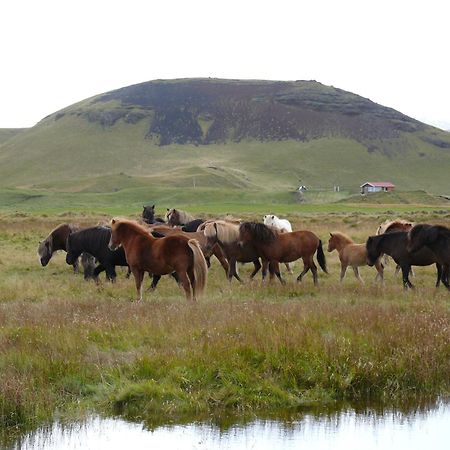 Guesthouse Vellir Vik i Myrdal Luaran gambar